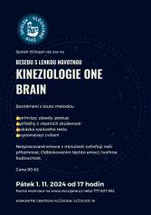 Kineziologie ONE BRAIN